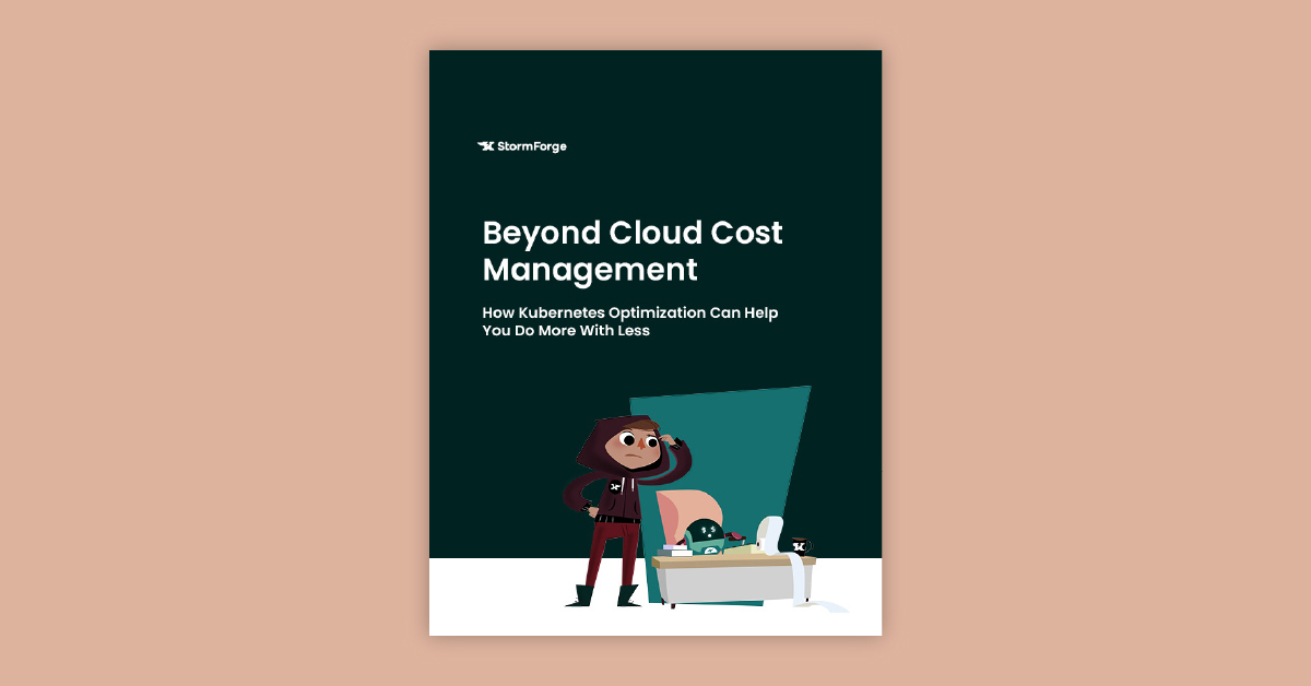 Beyond cloud cost management feature